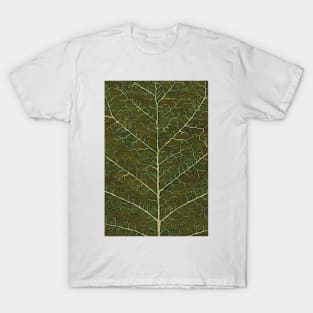 Viridian spring T-Shirt